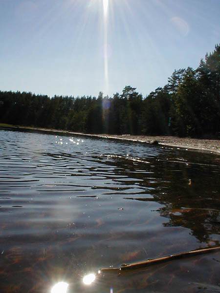 P1010007
